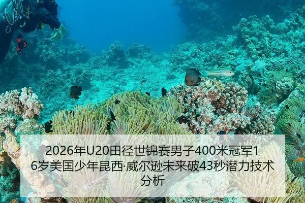 nian-tian-jing-shi-jin-sai-nan-zi-mi-guan-jun-sui-mei-guo-shao-nian-kun-xi-wei-er-xun-wei-lai-po-miao-qian-li-ji-shu-2-495.jpg